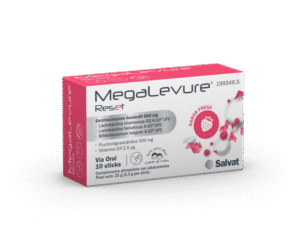 MegaLevure Reset 10 Sticks Fresa